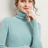 Women's turtle neck sweater top