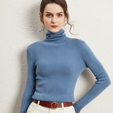 Women's turtle neck sweater top